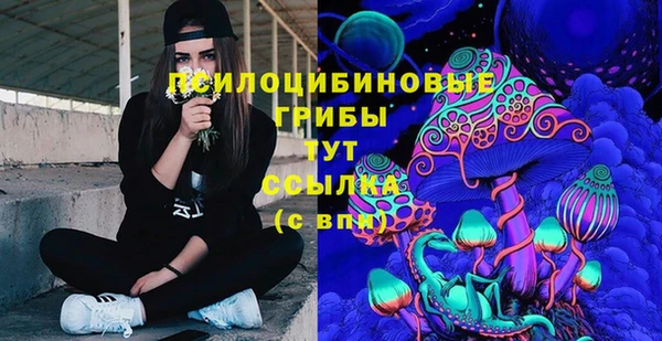 spice Алексеевка