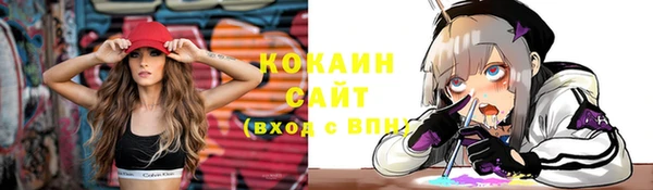 стафф Алзамай