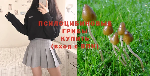 стафф Алзамай