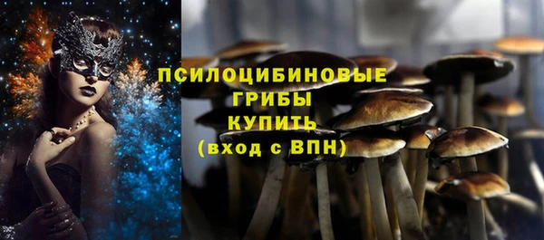 стафф Алзамай